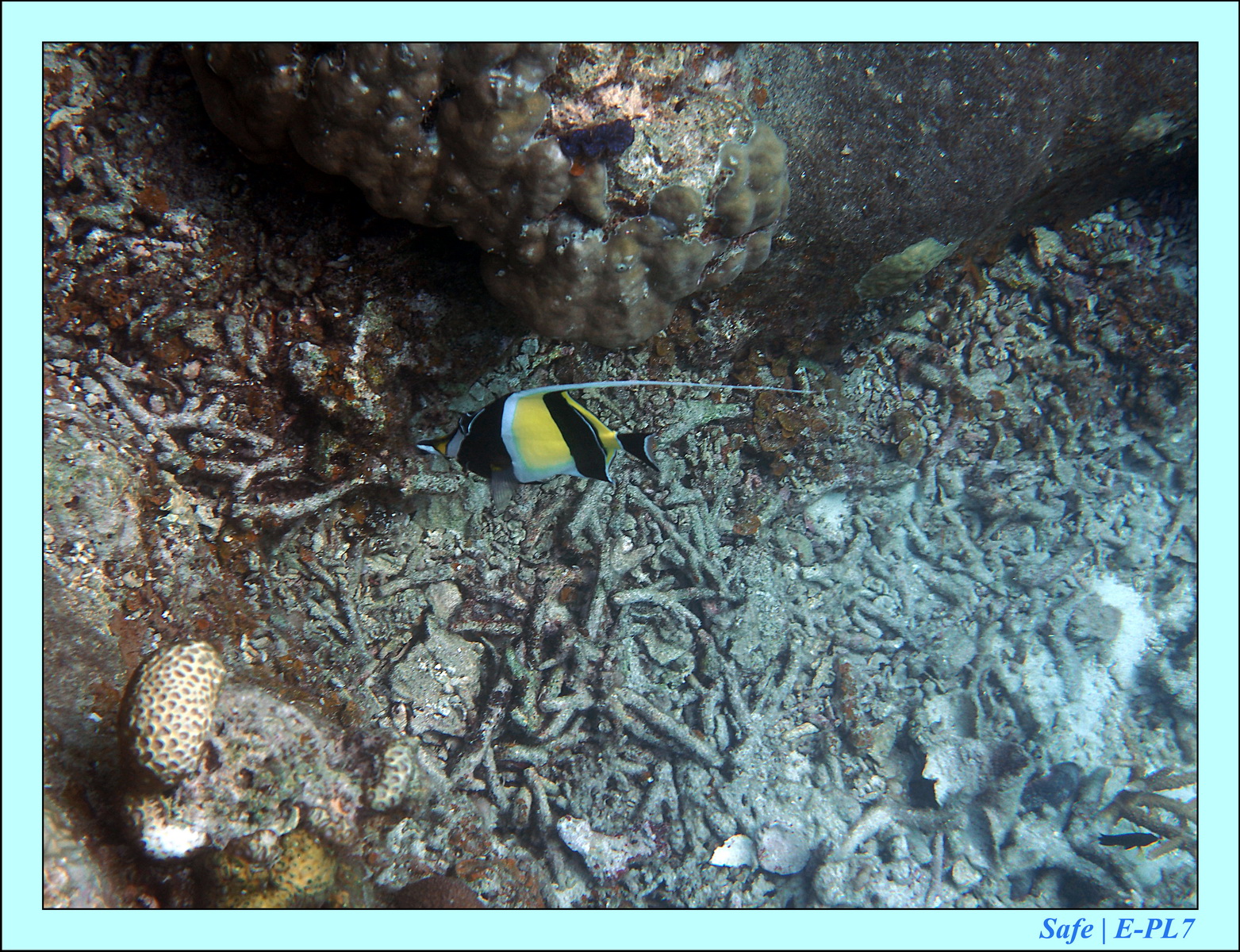 2016 - 07 - Leng Tengah - 074